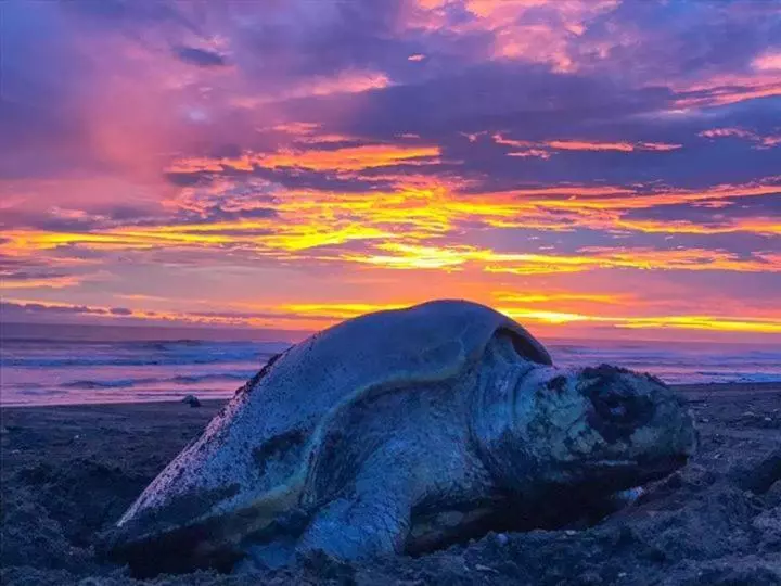 Retkeilymaja Cabinas Surf Arribadas