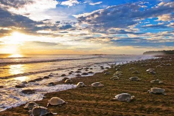 Retkeilymaja Cabinas Surf Arribadas