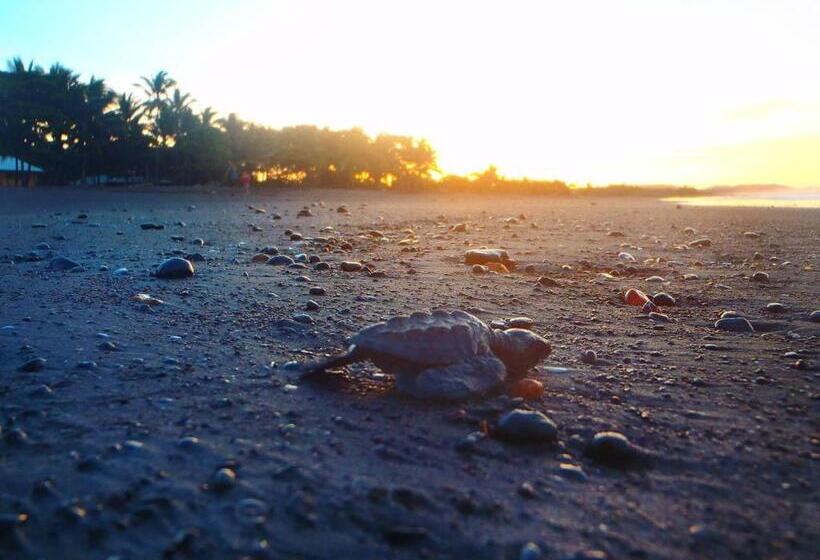 هاستل Cabinas Surf Arribadas