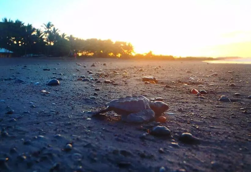 Retkeilymaja Cabinas Surf Arribadas