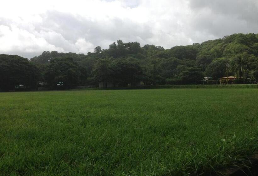 هاستل Cabinas Surf Arribadas