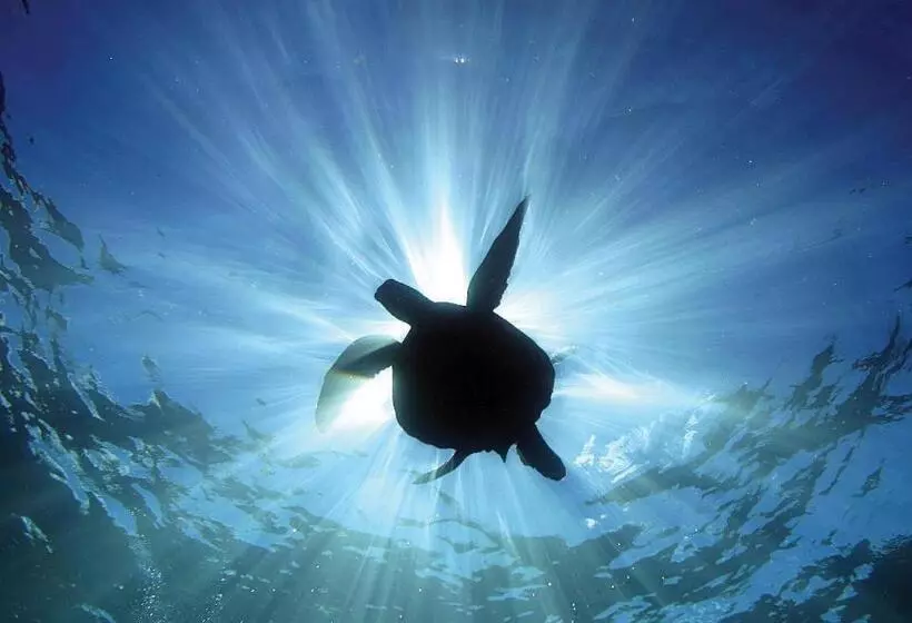 Retkeilymaja Cabinas Surf Arribadas