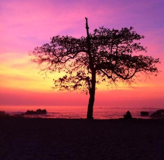 هاستل Cabinas Surf Arribadas