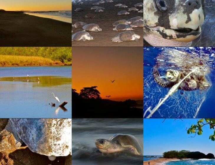 هاستل Cabinas Surf Arribadas