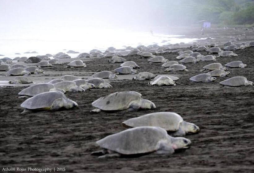 هاستل Cabinas Surf Arribadas