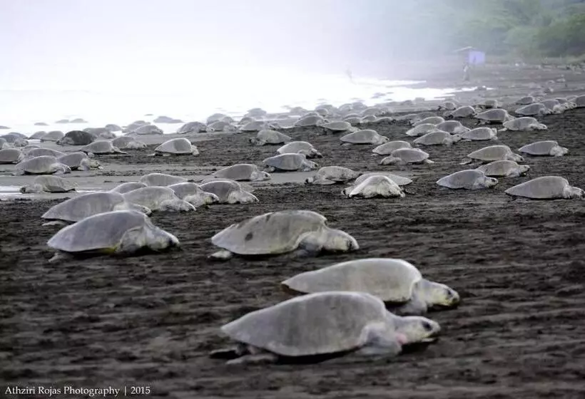 Retkeilymaja Cabinas Surf Arribadas