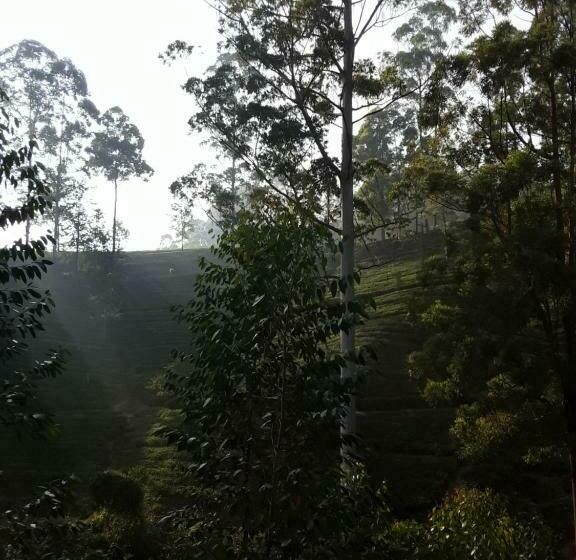 مبيت وإفطار Lily Adam S Peak