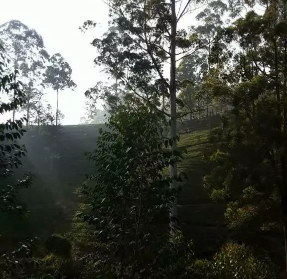 Aamiaismajoitus (B&B) Lily Adam S Peak