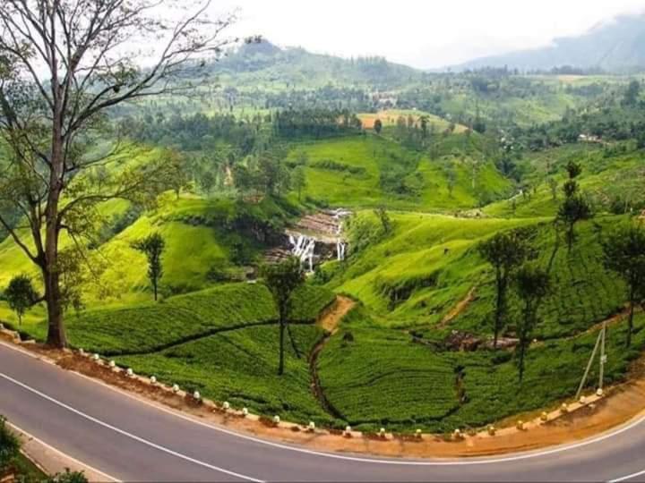 مبيت وإفطار Lily Adam S Peak