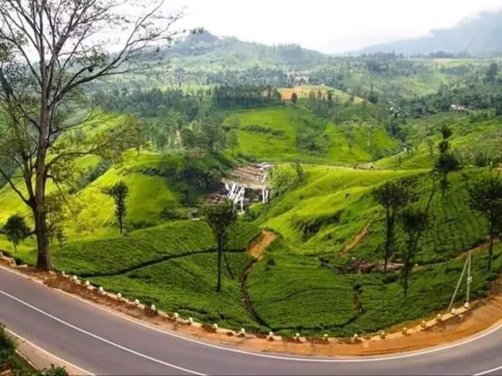 Aamiaismajoitus (B&B) Lily Adam S Peak