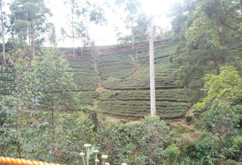 مبيت وإفطار Lily Adam S Peak