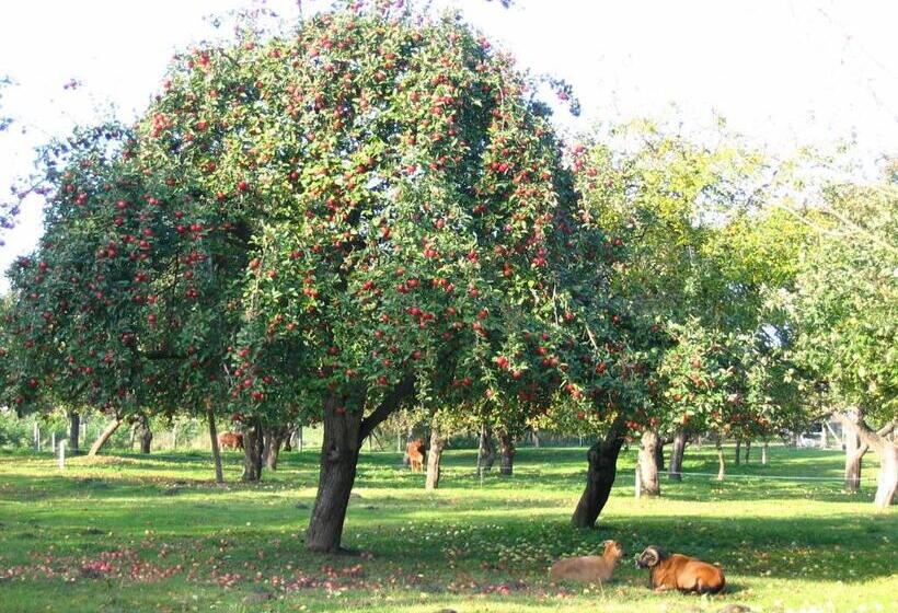 Lindenhof Liepgarten   Pension & Gaststätte