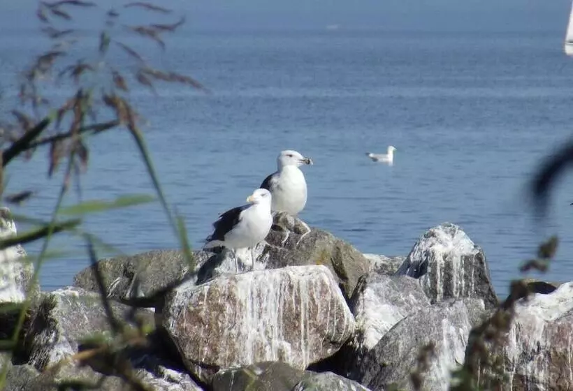 Lindenhof Liepgarten   Pension & Gaststätte