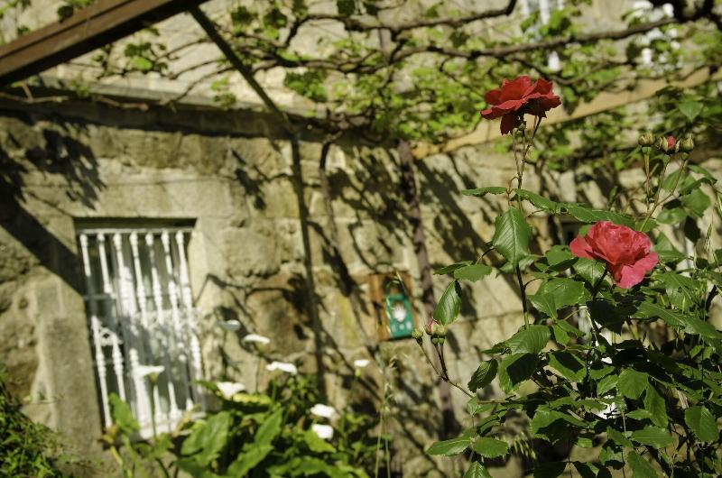 Casa De Turismo Rural Os Petroglifos