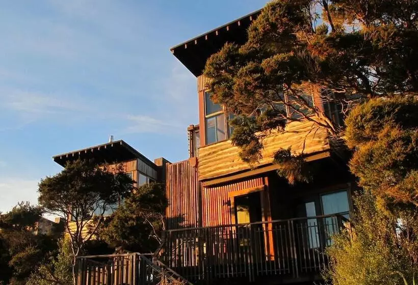 Hapuku Lodge & Tree Houses