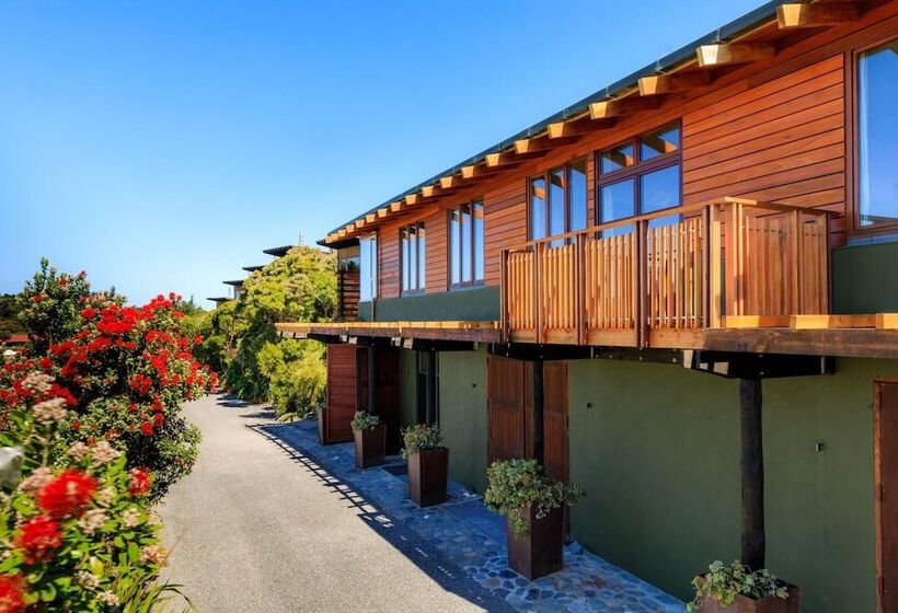 Hapuku Lodge & Tree Houses