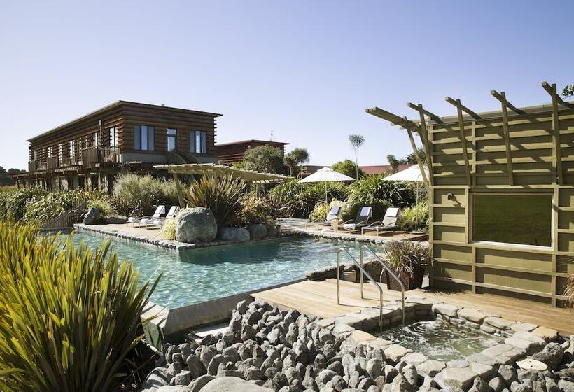 Hapuku Lodge & Tree Houses