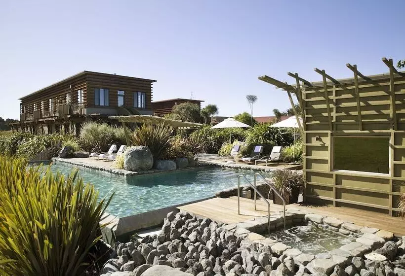 Hapuku Lodge & Tree Houses