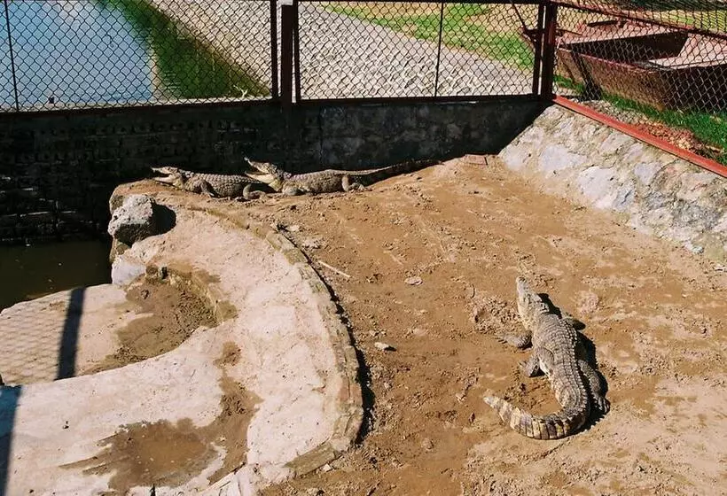 Camela Hotel & Resort