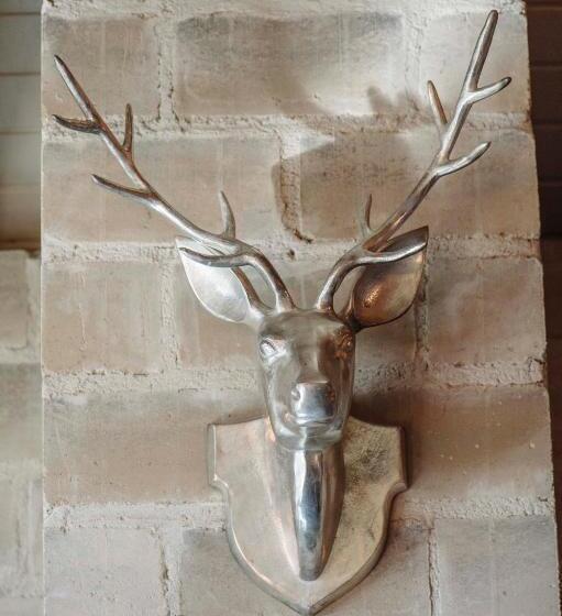 בית מלון כפרי Lake Tekapo Lodge