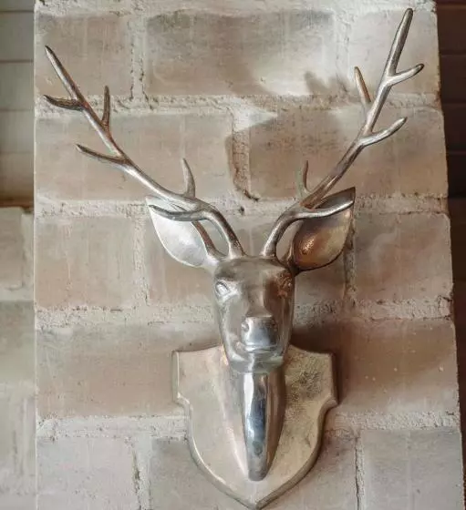 호텔 Lake Tekapo Lodge