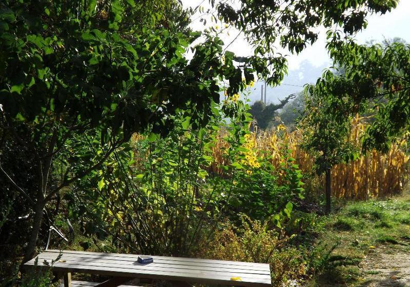 Reitoral De Chandrexa