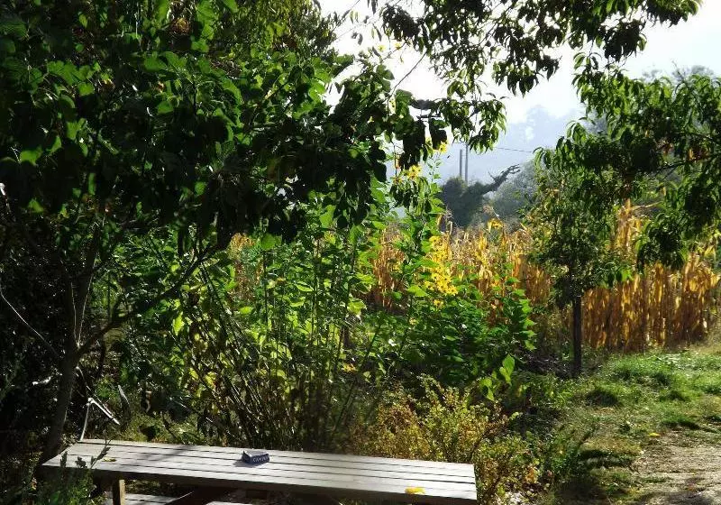 Reitoral De Chandrexa