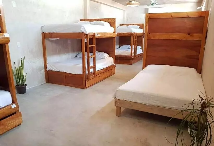 هتل Hostal Casa Chauac Ha