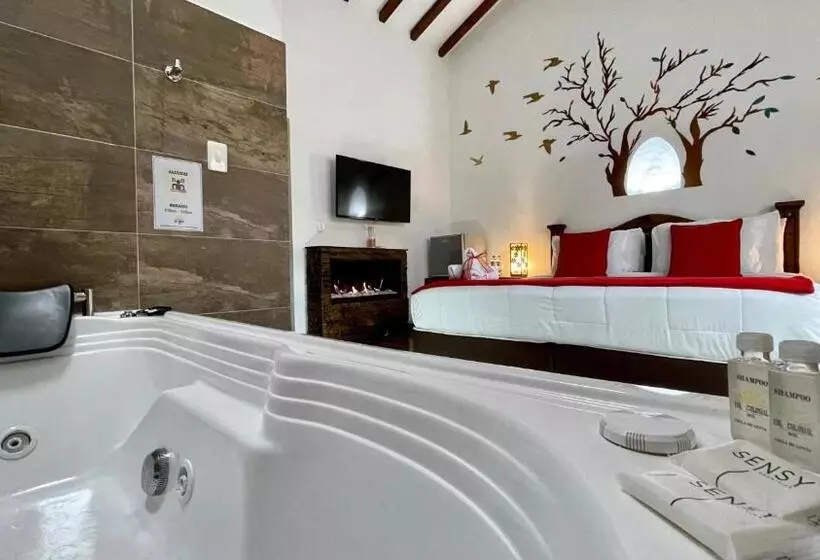 ホテル Boutique & Spa   Vdl Colonial