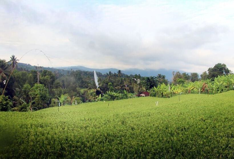 ベッドアンドブレックファースト Villa Ipsa