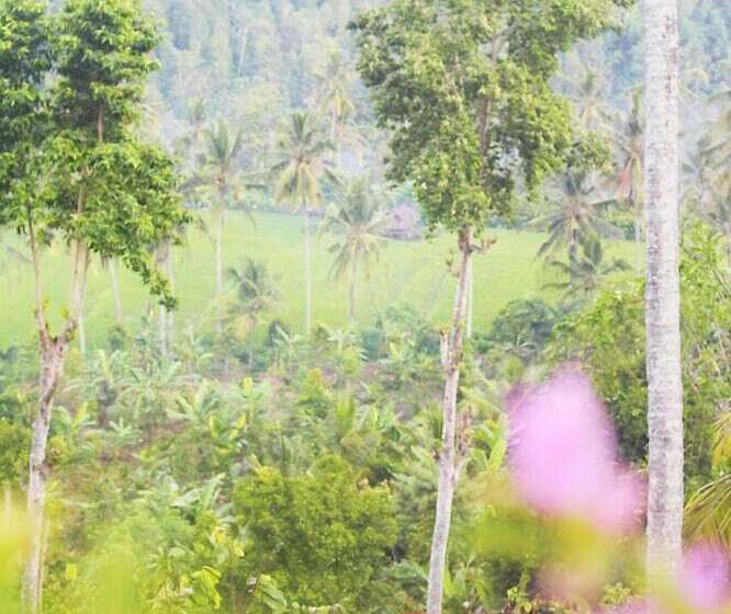 ベッドアンドブレックファースト Villa Ipsa