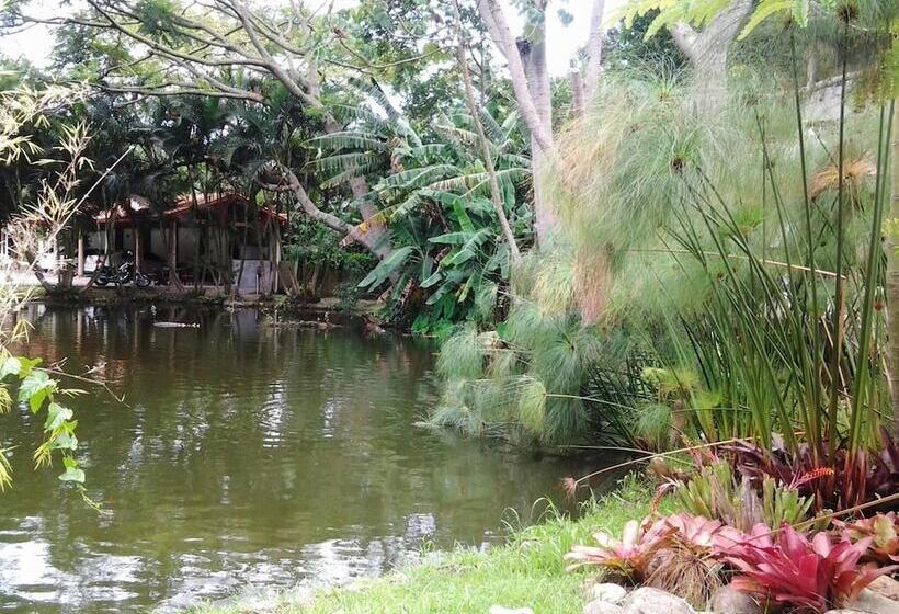 膳宿费 Pousada Das Vieiras