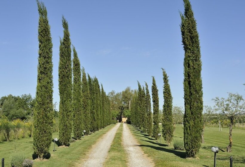 Agriturismo La Lodola