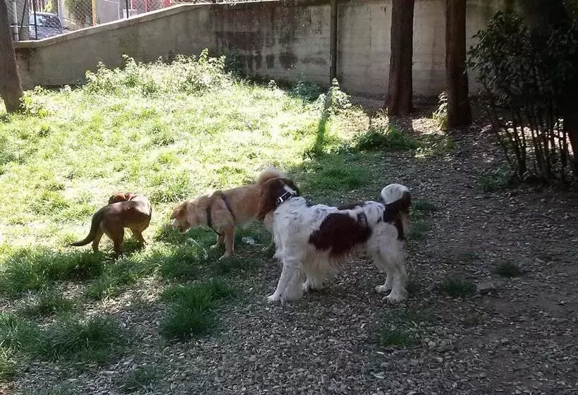 B&b A Casa Di Virgilio