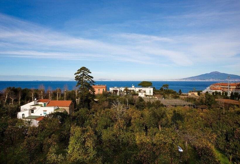 住宿加早餐 Relais Correale Rooms & Garden