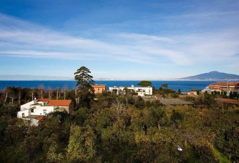 住宿加早餐  Relais Correale Rooms & Garden