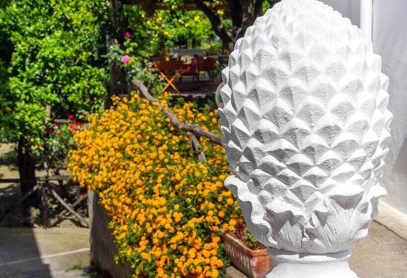 住宿加早餐 Relais Correale Rooms & Garden