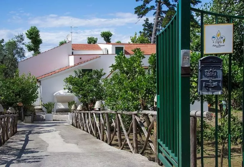 住宿加早餐  Relais Correale Rooms & Garden