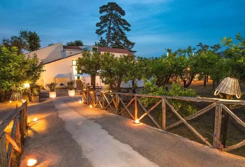 住宿加早餐  Relais Correale Rooms & Garden