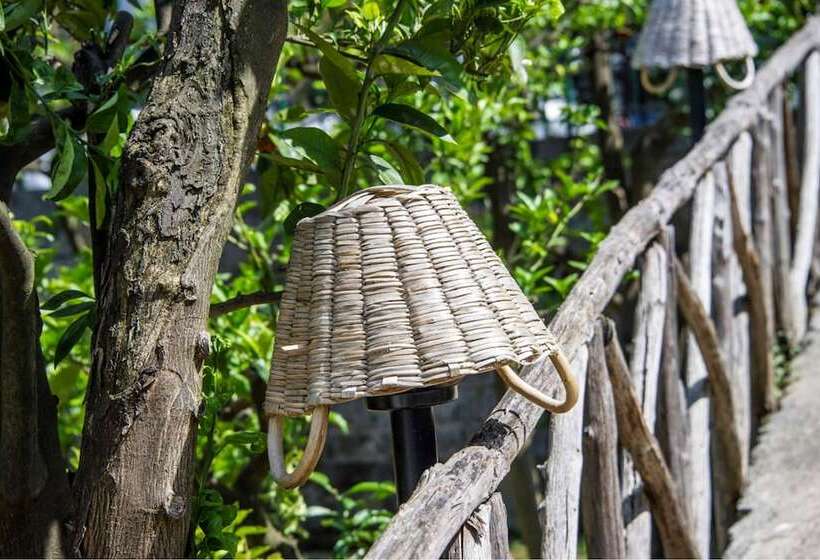 住宿加早餐 Relais Correale Rooms & Garden