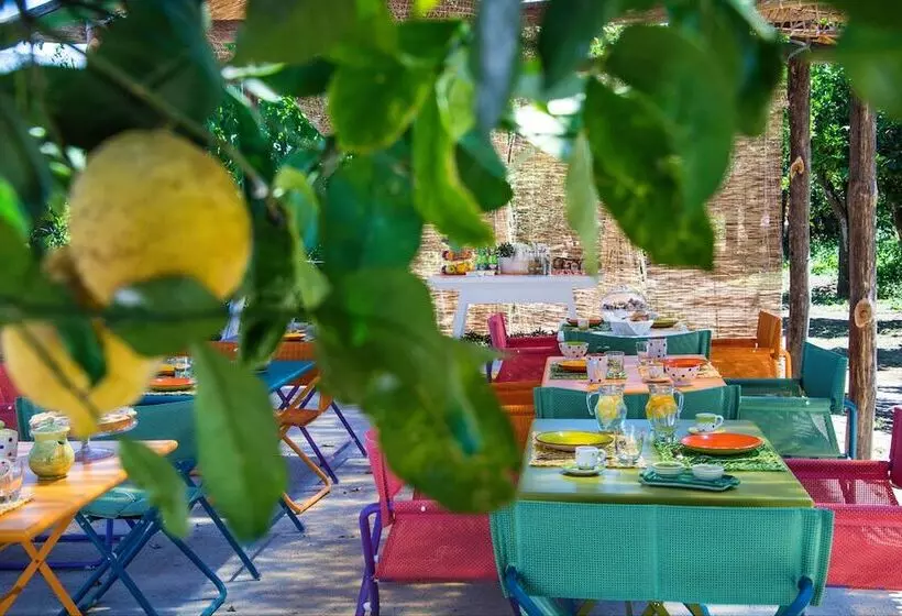 住宿加早餐  Relais Correale Rooms & Garden