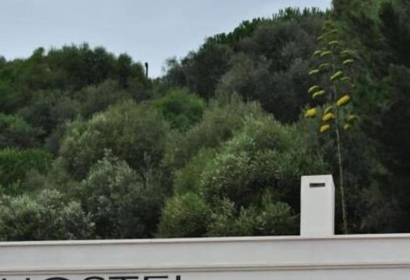 فندق Amazigh Hostel & Suites