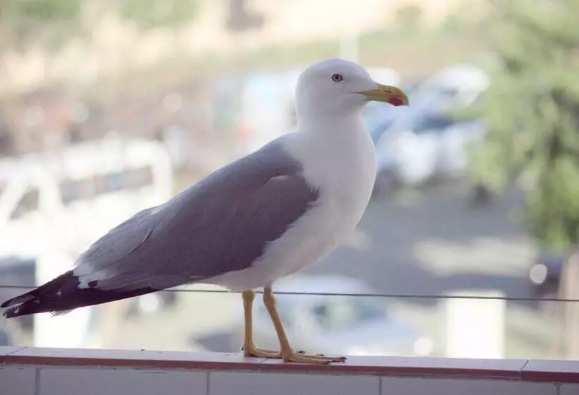 בית מלון כפרי Angela Guest House