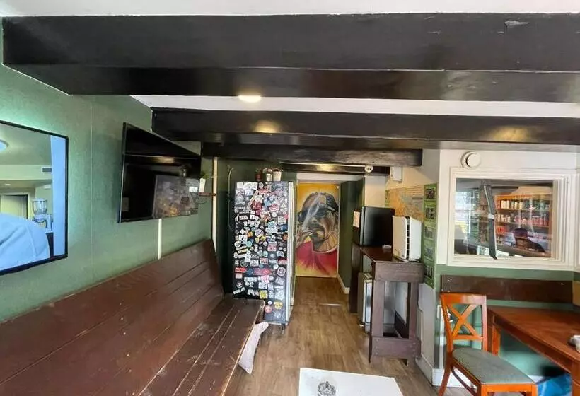 International Budget Hostel City Center