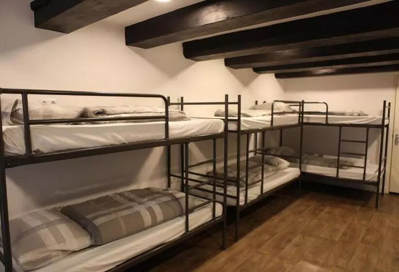 International Budget Hostel City Center