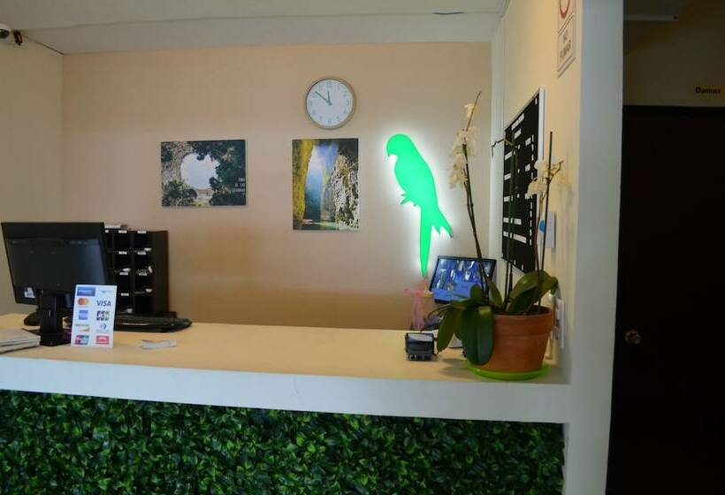 Отель Coita Express