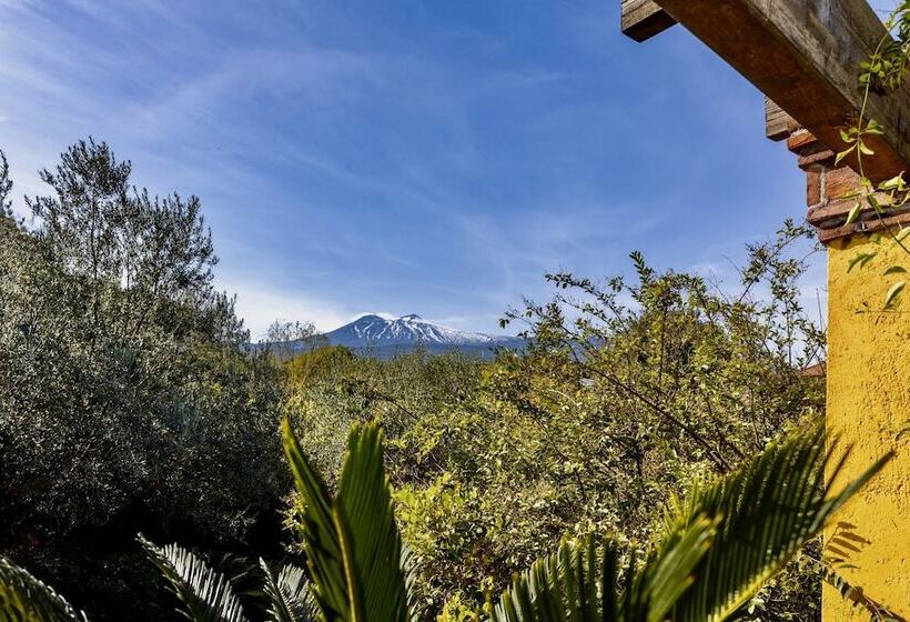 펜션 Palazzo Previtera