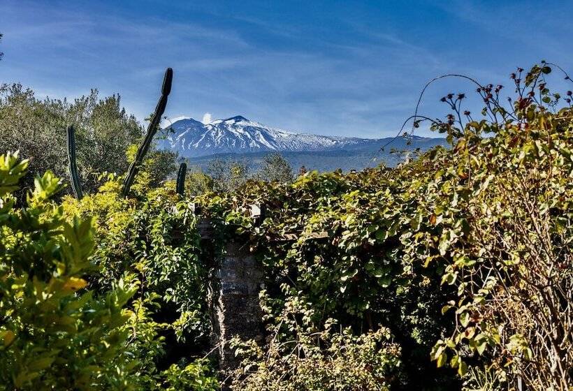 펜션 Palazzo Previtera