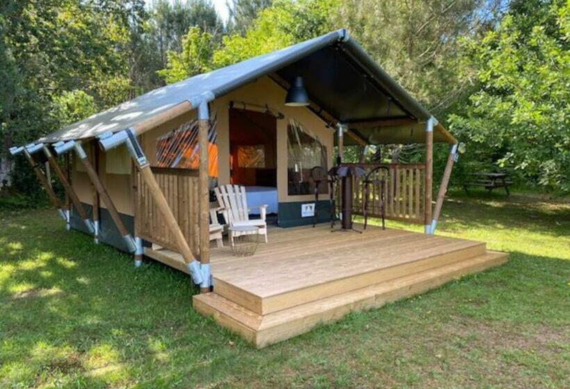 Bed and Breakfast Domaine De La Grange