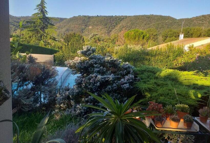 مبيت وإفطار Fan 36b